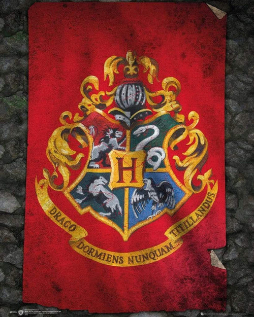 Harry Potter Hogwarts Flag Poster 40x50cm RRP 6.95 CLEARANCE XL 99p