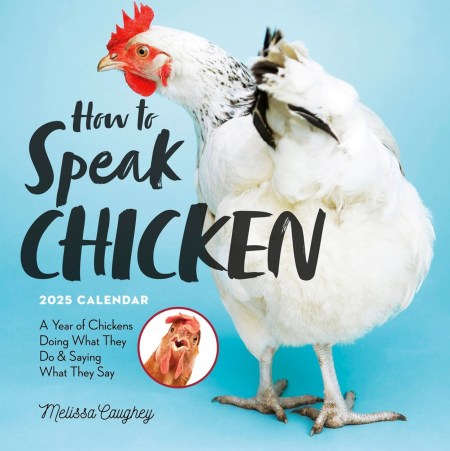 How to Speak Chicken Wall Calendar 2025 RRP 13.99 CLEARANCE XL 3.99