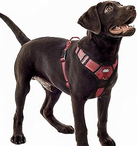 TwoEar Reflective Dog Harness Size Extra Large Red RRP 22.99 CLEARANCE XL 14.99