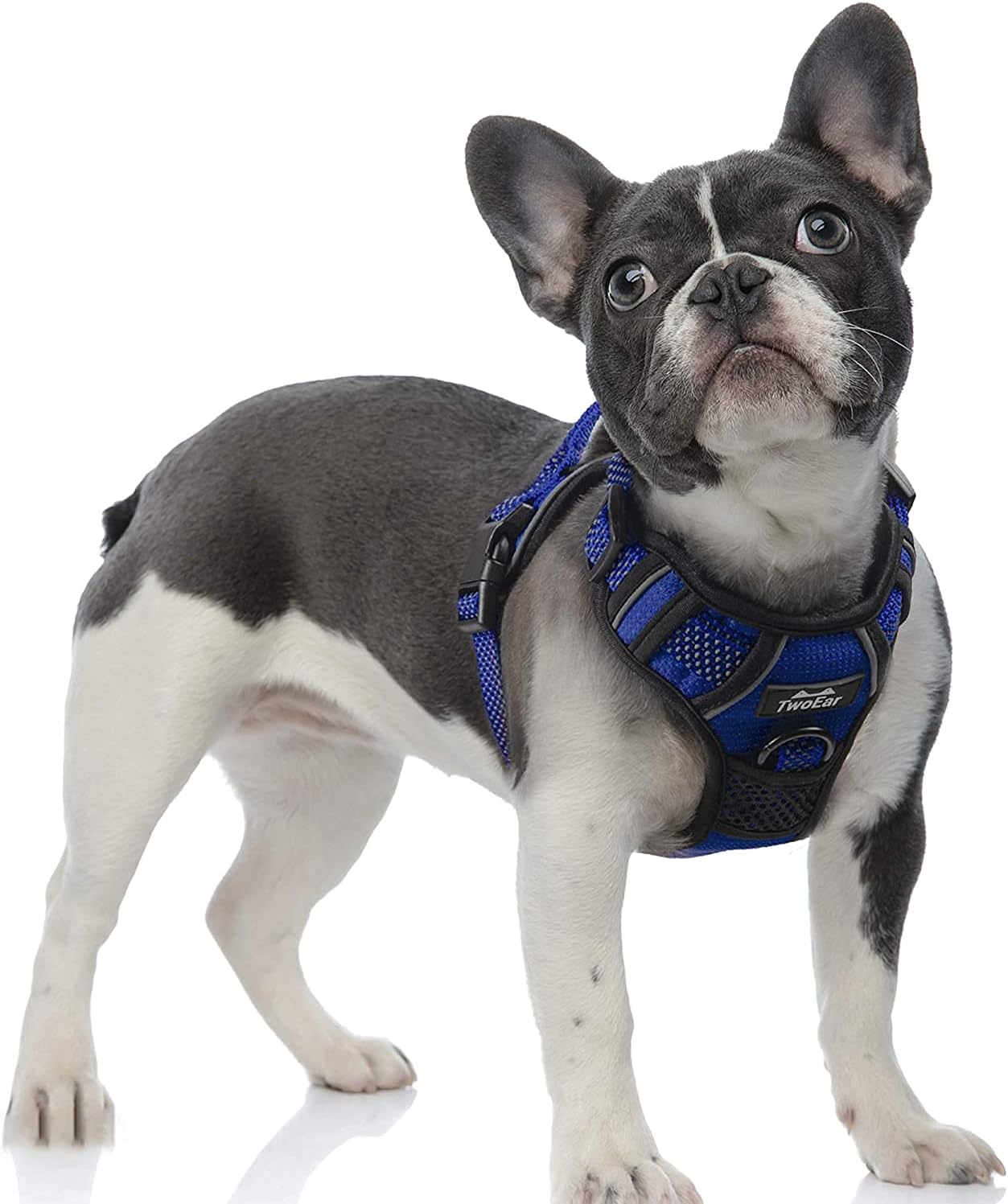 TwoEar Reflective Dog Harness Size Extra Large Blue RRP 22.99 CLEARANCE XL 14.99